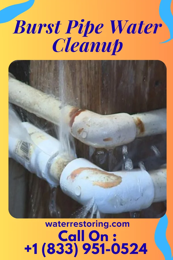 Burst Pipe Water Cleanup in Bartlett, IA