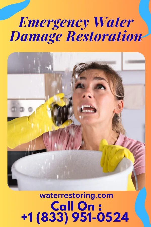 Emergency Water Damage Restoration in Bartlett, IA